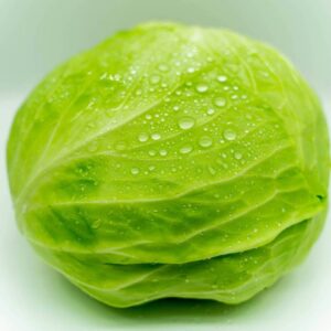 Cabbage - europafoodxb